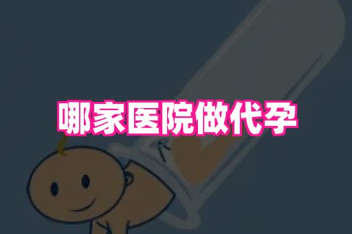 swisee孕网 2