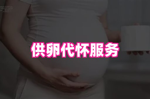 swisee孕网 4